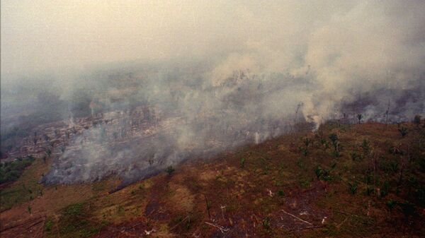 Incendio forestal en el distrito de Petén guatemalteco (archivo) - Sputnik Mundo