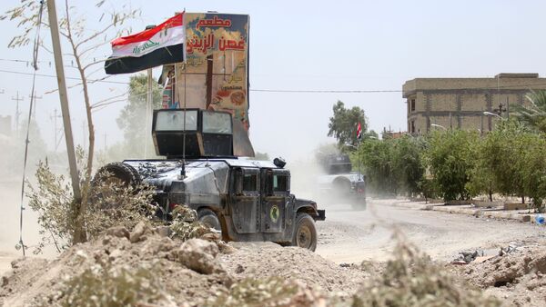 Las fuerzas antiterroristas iraquíes en Faluya - Sputnik Mundo