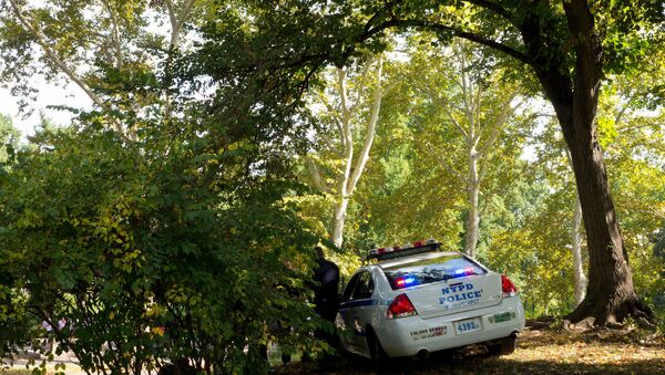 Coche de policía en el Central Park, Nueva York - Sputnik Mundo