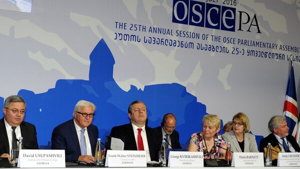 La sesión de la Asamblea Parlamentaria de la OSCE en Tiflis, Georgia - Sputnik Mundo