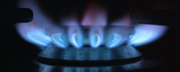 Estufa de gas Estufa de gas - Sputnik Mundo