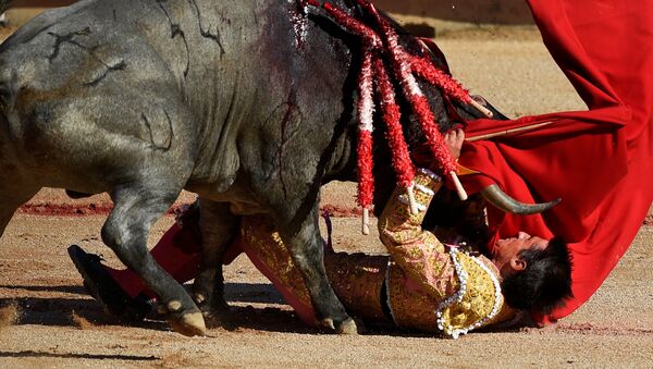 El torero español Francisco Marco participa en el festival de San Fermín, en Pamplona. - Sputnik Mundo