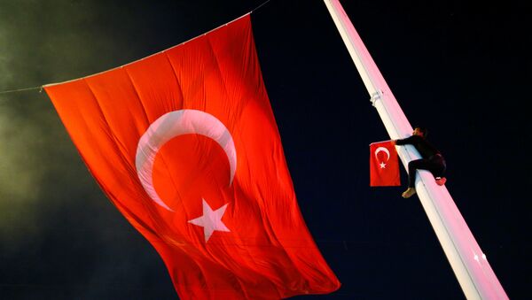 A supporter of Turkish President Tayyip Erdogan climbs up a flagpole during a pro-government demonstration at Taksim square in Istanbul - Sputnik Mundo