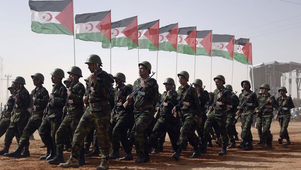 Miembros del Ejército de la Liberación del Pueblo Saharaui con las banderas del Frente Polisario - Sputnik Mundo
