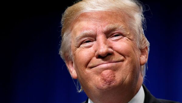 Donald Trump, candidato presidencial estadounidense por el Partido Republicano - Sputnik Mundo