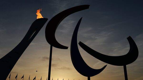 El símbolo y el fuego de los Juegos Paralímpicos en Sochi - Sputnik Mundo