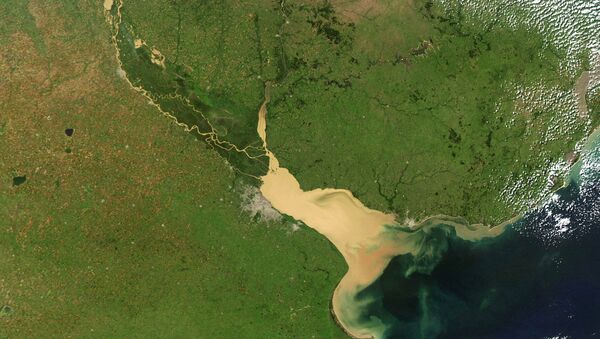 Vista satelital del río Paraná - Sputnik Mundo