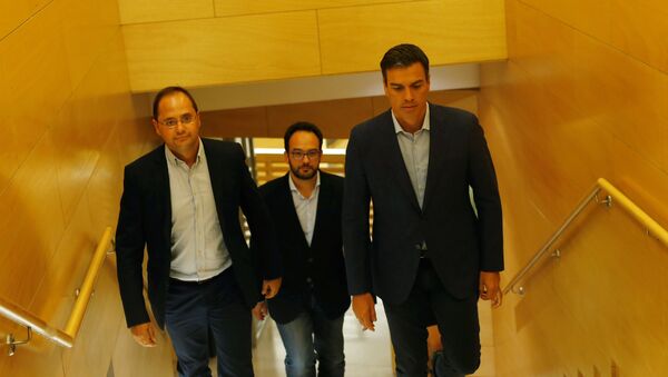 Cesar Luena, Antonio Hernando y Pedro Sánchez del PSOE - Sputnik Mundo