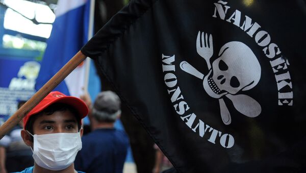 People demonstrate against the US biotechnology giant Monsanto and its genetically modified crops and pesticides, in Asuncion, on May 25, 2015 two days after thousands of people hit the streets in cities across the world to protest against the company. - Sputnik Mundo