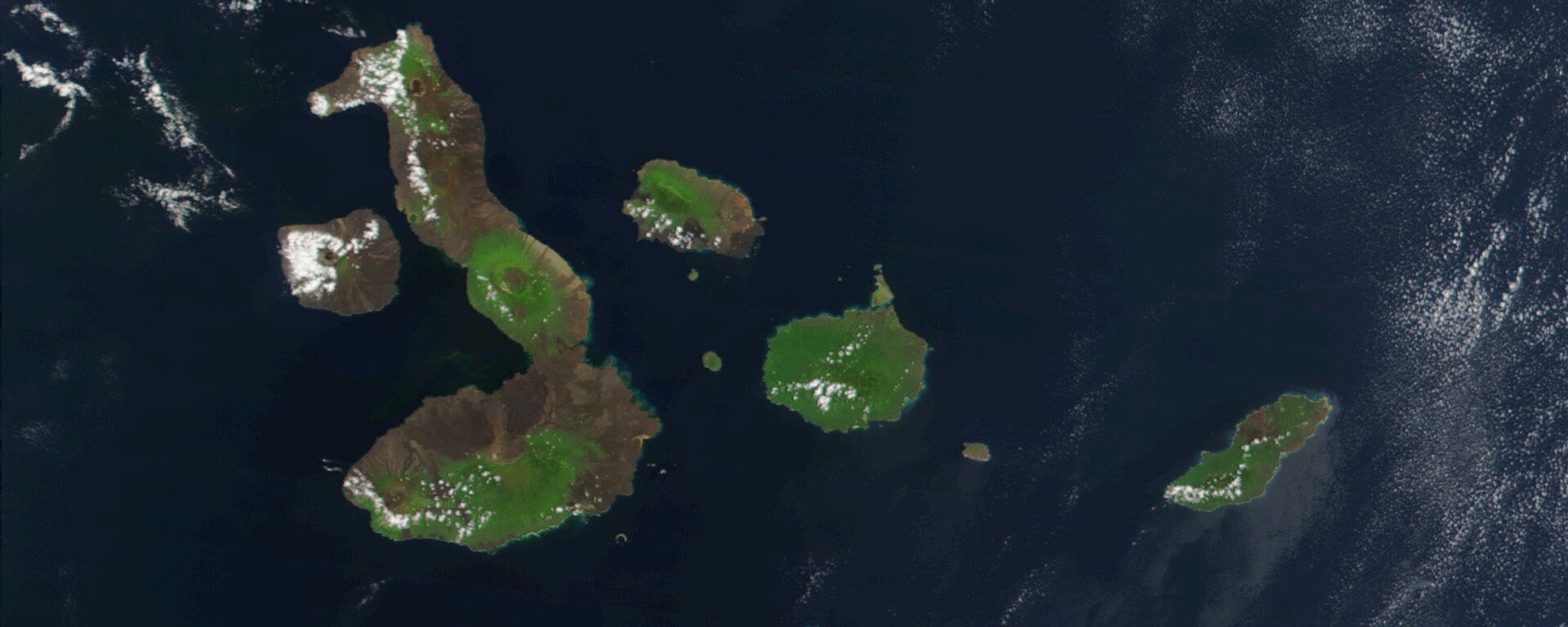Las Islas Galápagos - Sputnik Mundo, 1920, 05.07.2021