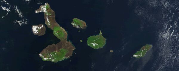 Las Islas Galápagos Las Islas Galápagos - Sputnik Mundo