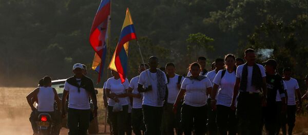 Los combatientes de las FARC Los combatientes de las FARC - Sputnik Mundo