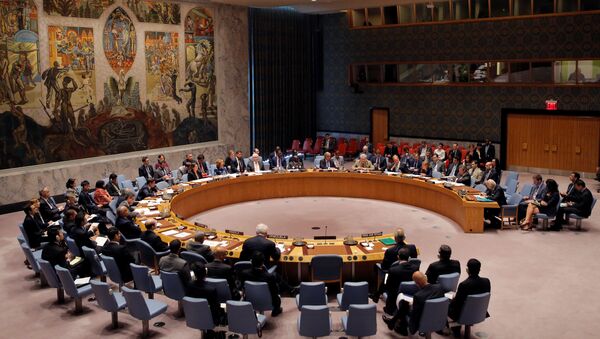 Reunión del Consejo de Seguridad de Naciones Unidas - Sputnik Mundo