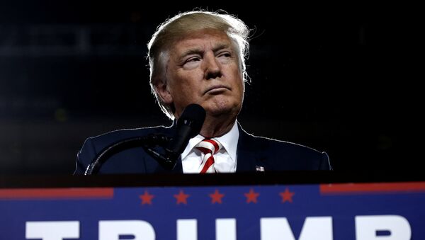 El presidente electo de EEUU, Donald Trump - Sputnik Mundo