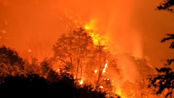 Incendio forestal en Chile - Sputnik Mundo