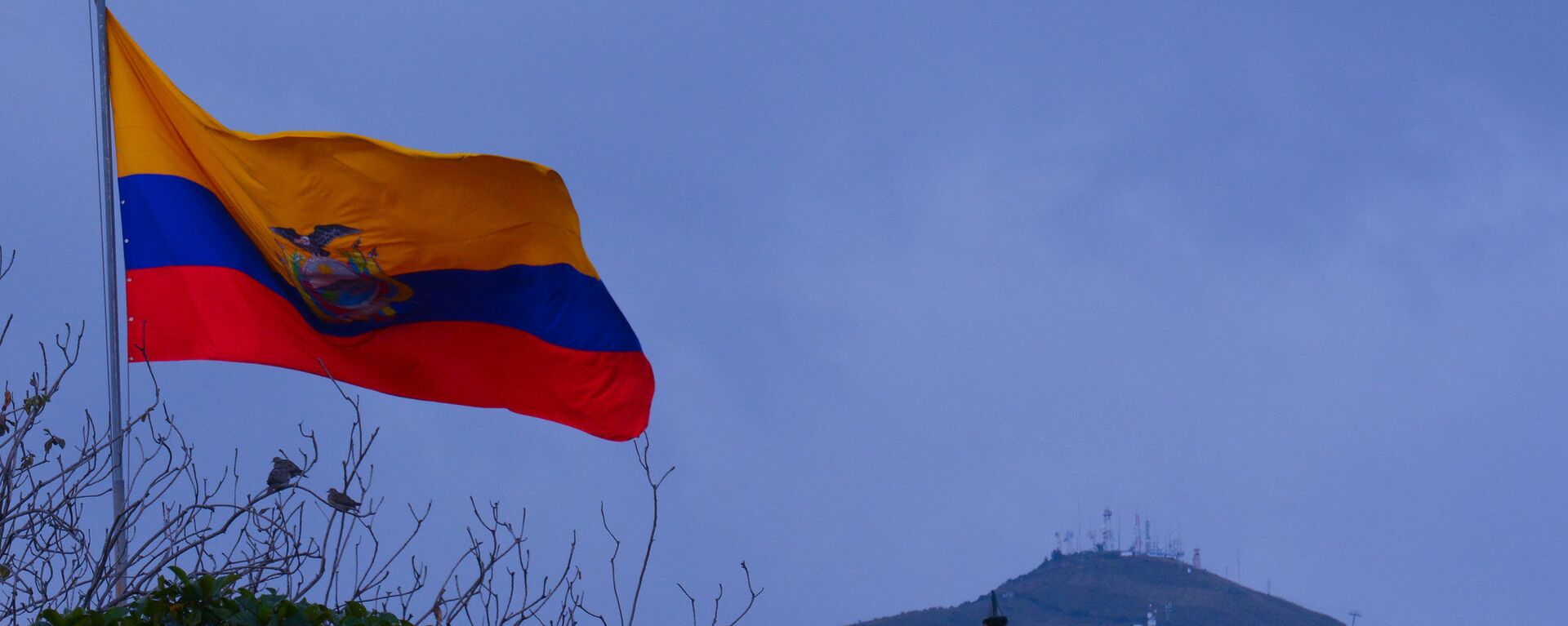 La bandera de Ecuador - Sputnik Mundo, 1920, 17.06.2021