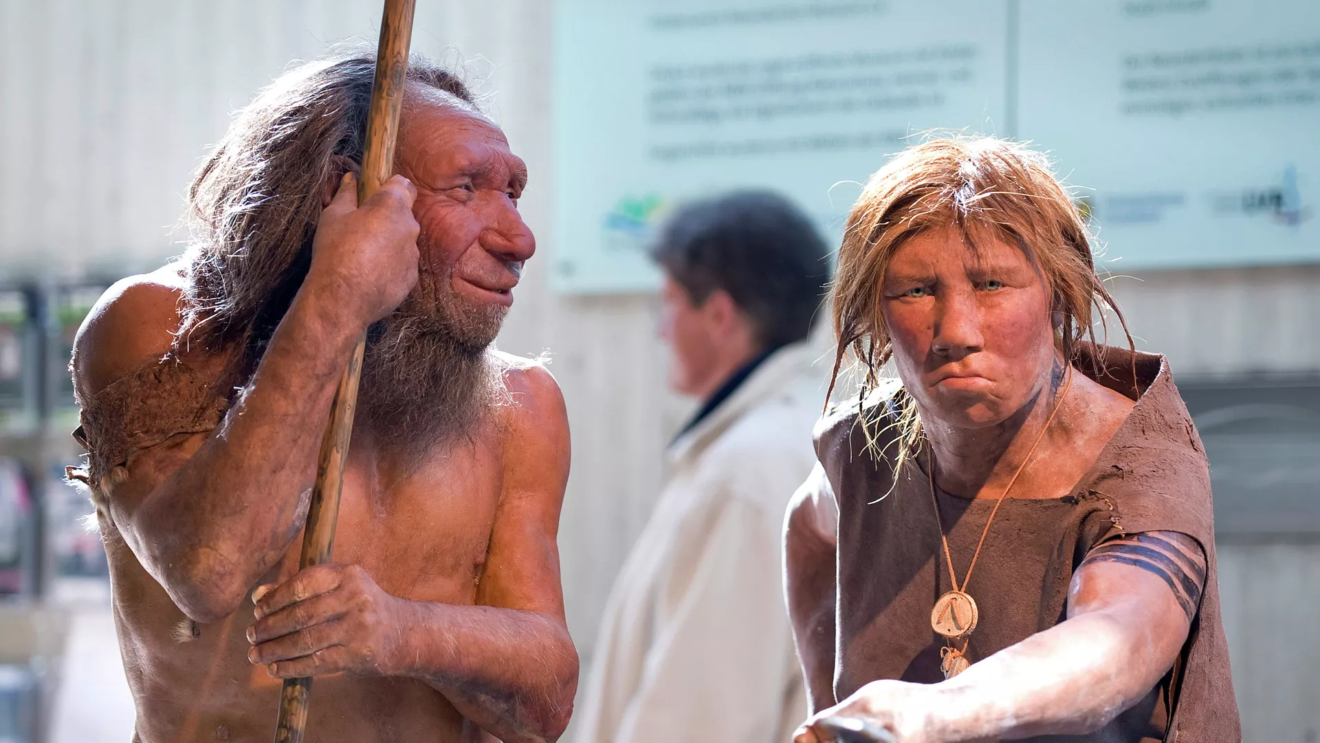 The prehistoric Neanderthal man N, left, is visited for the first time by another reconstruction of a homo neanderthalensis called Wilma, right, at the Neanderthal museum in Mettmann, Germany, Friday, March 20, 2009 - Sputnik Mundo, 1920, 06.09.2023