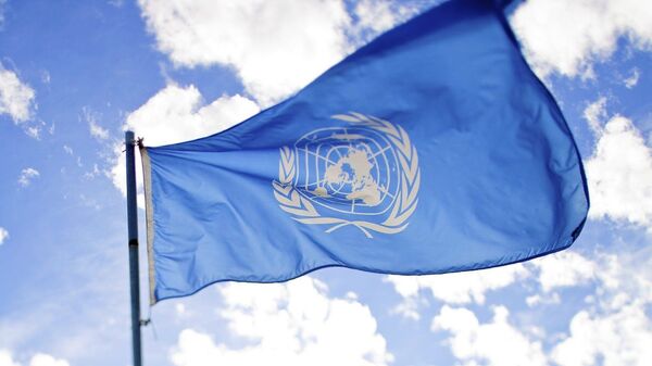 La bandera de la ONU (imagen referencial) - Sputnik Mundo