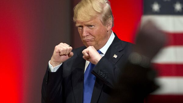 Donald Trump, el presidente electo de EEUU - Sputnik Mundo