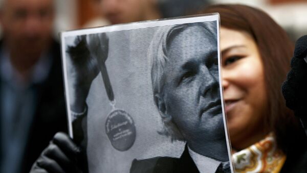 A supporter of Julian Assange holds a poster after prosecutor Ingrid Isgren from Sweden arrived at Ecuador's embassy to interview him in London - Sputnik Mundo