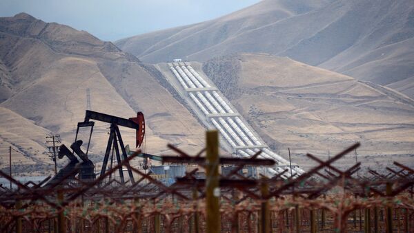 An oil derrick is seen near vineyards north of the Grapevine in central California's Kern County where the Chrisman Wind Gap Pumps, part of the California Aqeduct System, lifts water about 800 feet up the mountainside to begin its crossing of the Tehacahpis to deliver water into Southern California, on February 3, 2014 - Sputnik Mundo