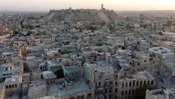 A file photo shows general view taken with a drone showing Aleppo's historic citadel, controlled by forces loyal to Syria's President Bashar al-Assad, as seen from a rebel-held area of Aleppo - Sputnik Mundo
