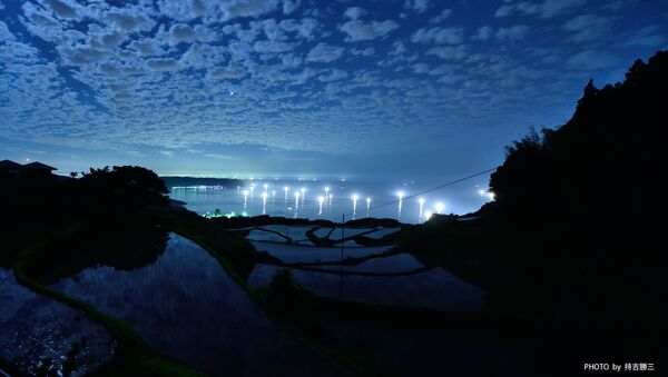 Una plantación de arroz bajo la luz de la luna, Nagato, Japón - Sputnik Mundo