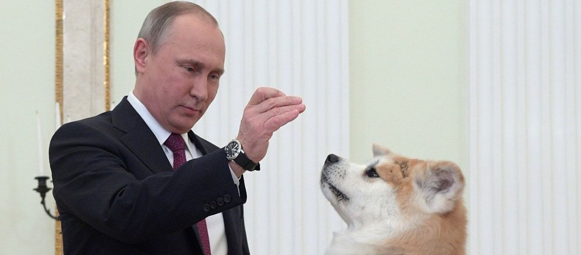 El presidente de Rusia, Vladímir Putin y su perra, Yume - Sputnik Mundo, 1920, 14.12.2016