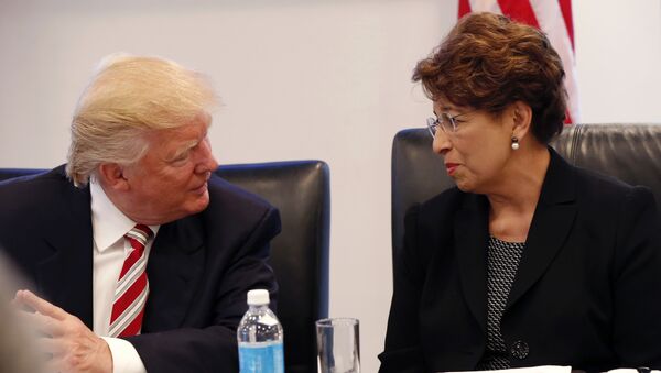 Donald Trump, presidente electo de EEUU, y Jovita Carranza, posible representante de la Oficina de Comercio de EEUU - Sputnik Mundo