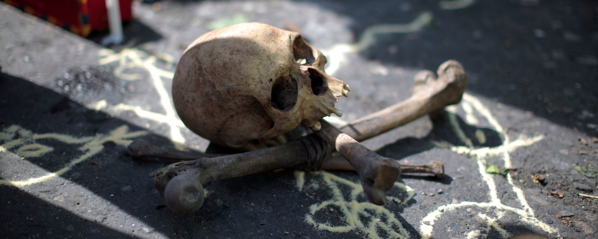 A skull and bones for a voodoo ritual are pictured before a protest against the results of the presidential election in Port-au-Prince, Haiti - Sputnik Mundo, 1920, 03.11.2021