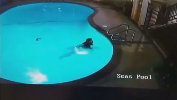 Todo por un 'like': un youtuber se la juega al saltar a una piscina desde una azotea - Sputnik Mundo