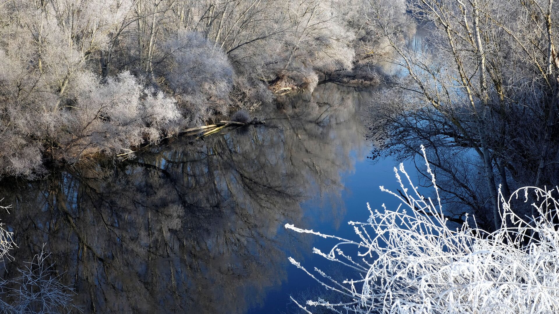 Frozen trees are seen on the banks of the Pisuerga river in Santovenia de Pisuerga, Spain - Sputnik Mundo, 1920, 03.01.2022