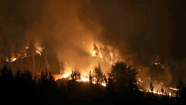 Incendio forestal en Chile (Archivo) - Sputnik Mundo