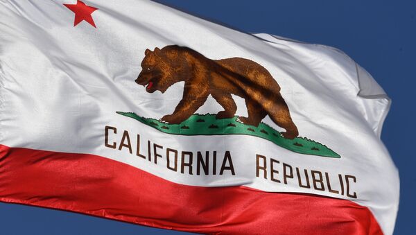 La bandera del estado de California - Sputnik Mundo