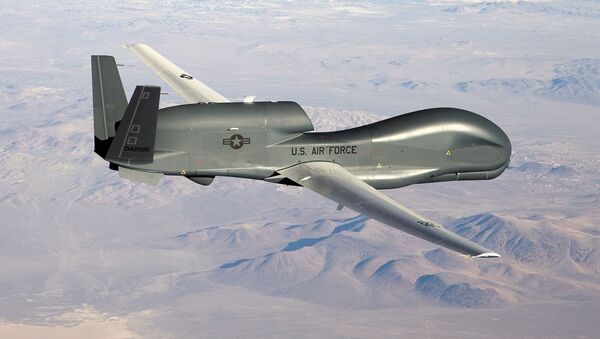 Dron RQ-4 Global Hawk (archivo) - Sputnik Mundo