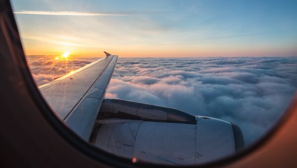 La vista desde la ventana de un avión - Sputnik Mundo