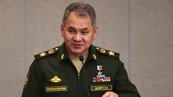 Serguéi Shoigú, ministro de Defensa ruso (archivo) - Sputnik Mundo