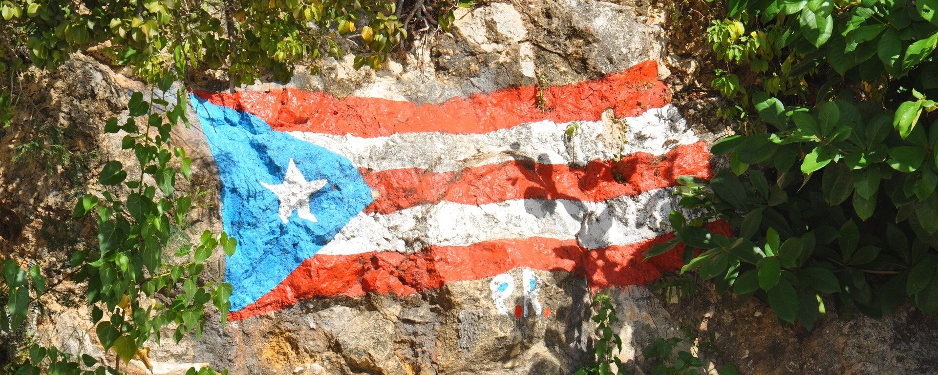 La bandera de Puerto Rico La bandera de Puerto Rico - Sputnik Mundo, 1920, 09.03.2017