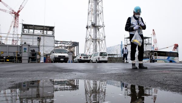 Central nuclear japonesa Fukushima - Sputnik Mundo