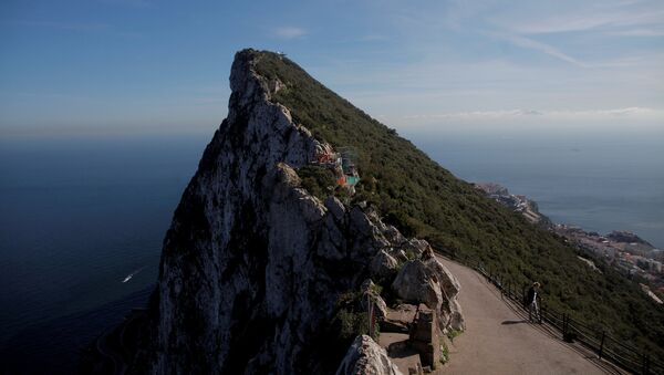 A tourist watches monkeys on the top of the Rock in the British overseas territory of Gibraltar, historically claimed by Spain, March 29, 2017 - Sputnik Mundo