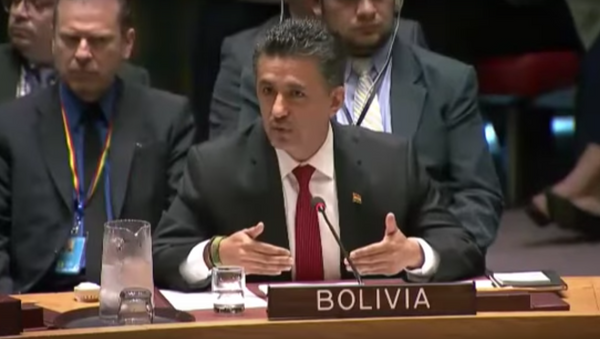 Intervención del Embajador Sacha Llorenti en Consejo de Seguridad - Sputnik Mundo