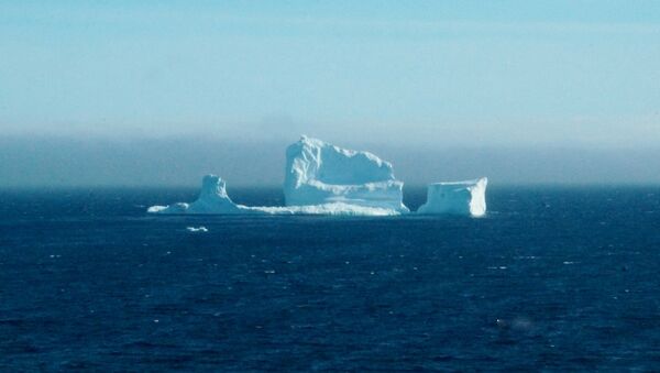 Los residentes ven el primer iceberg de la temporada mientras pasa la Costa Sur de Newfoundland - Sputnik Mundo