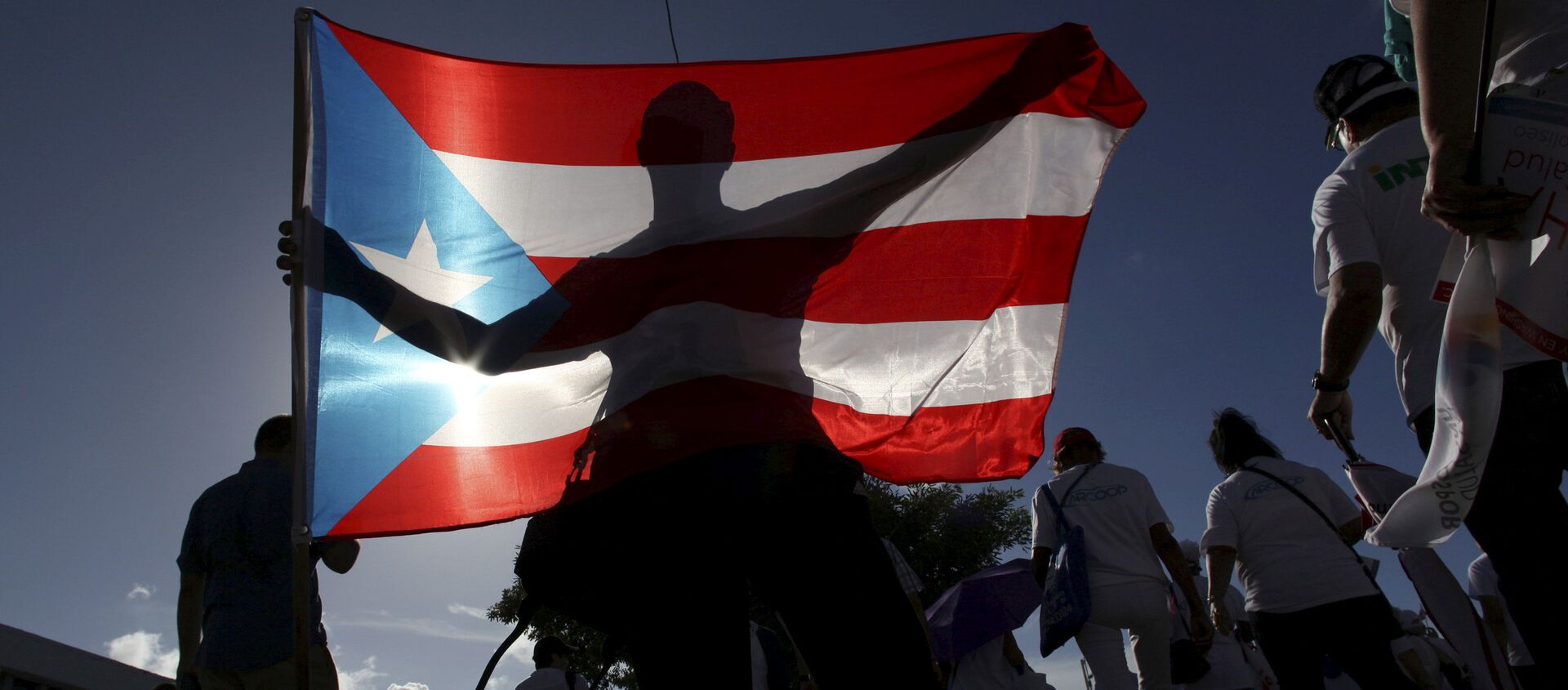 A protester holding a Puerto Rico's flag takes part in a march to improve healthcare benefits in San Juan - Sputnik Mundo, 1920, 04.11.2020