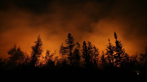 Incendio forestal en la región rusa de Krasnoyarsk (archivo) - Sputnik Mundo
