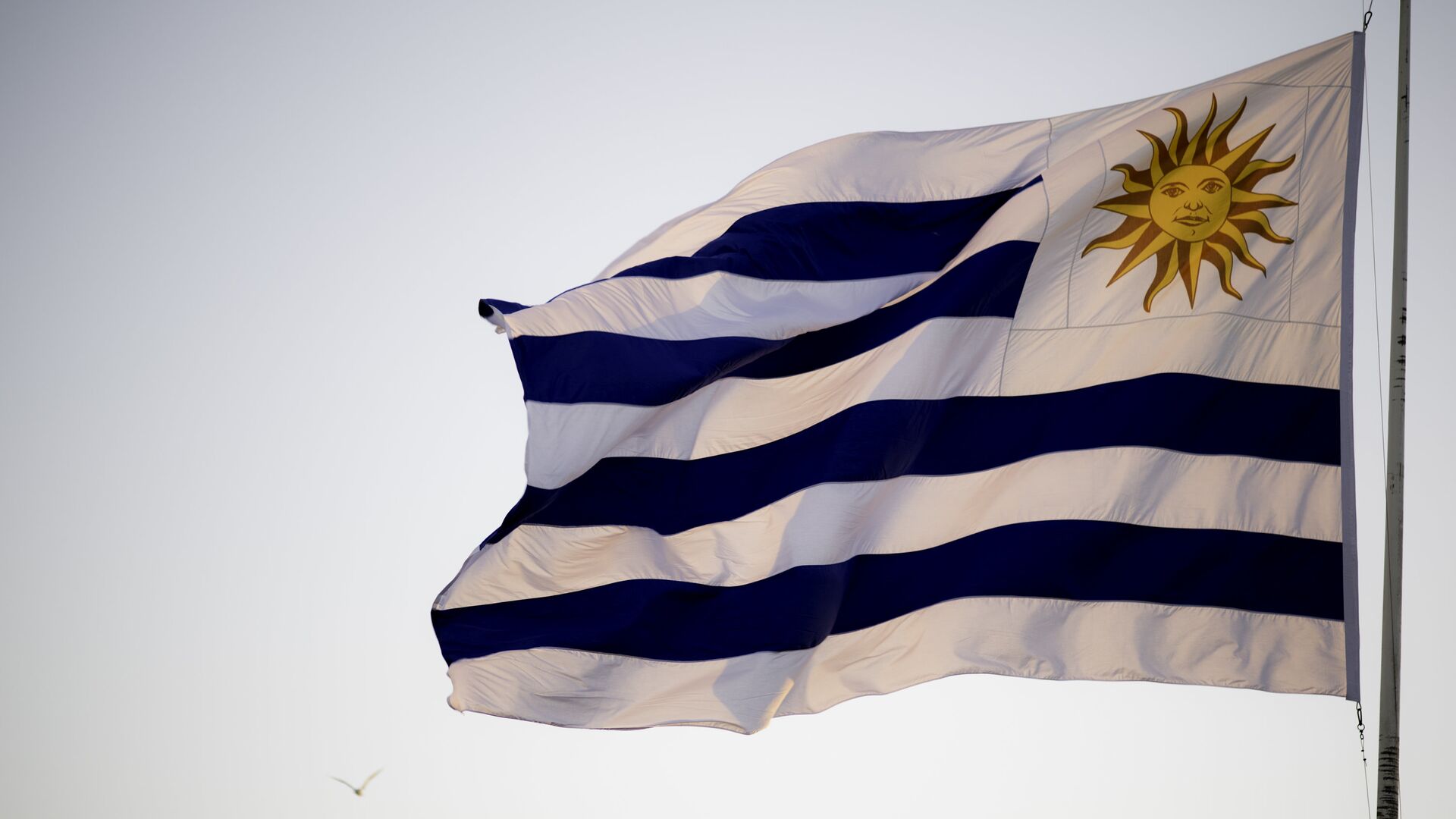 Bandera de Uruguay - Sputnik Mundo, 1920, 04.06.2021