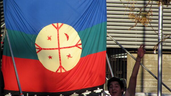 La bandera de mapuche (archivo) - Sputnik Mundo