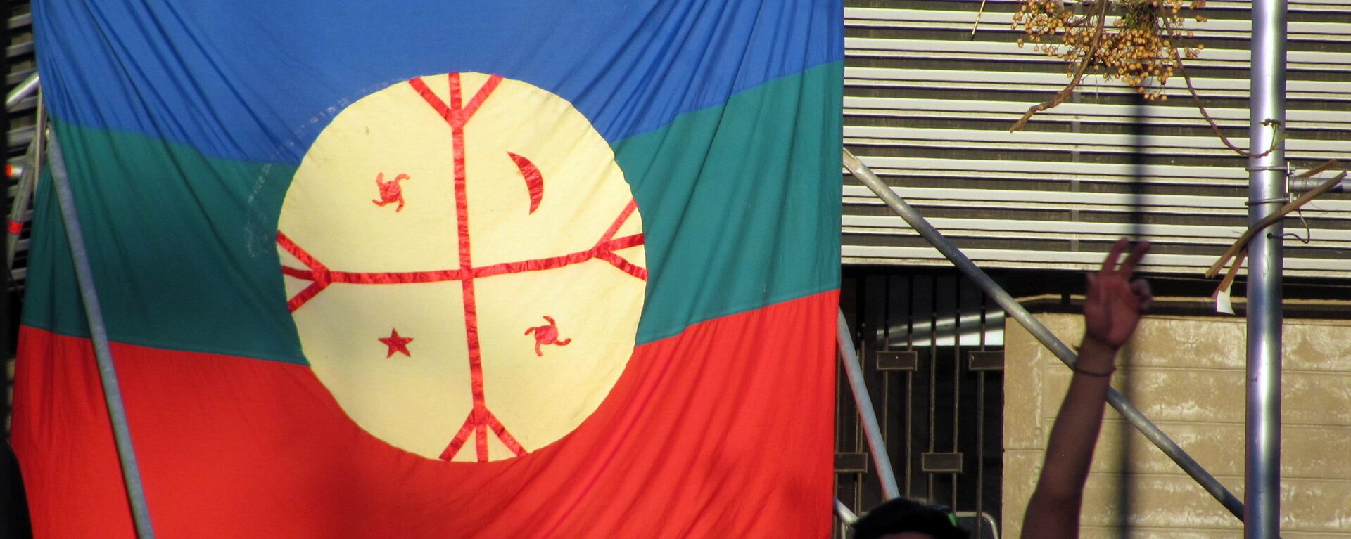 La bandera de mapuche - Sputnik Mundo, 1920, 29.08.2017