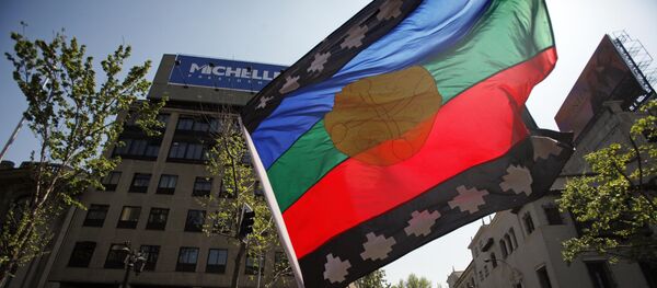 Bandera de mapuches Bandera de mapuches - Sputnik Mundo