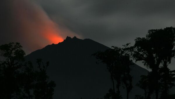 Volcán ecuatoriano Reventador - Sputnik Mundo