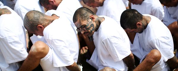 Miembros arrestados de la pandilla Mara Salvatrucha Miembros arrestados de la pandilla Mara Salvatrucha - Sputnik Mundo